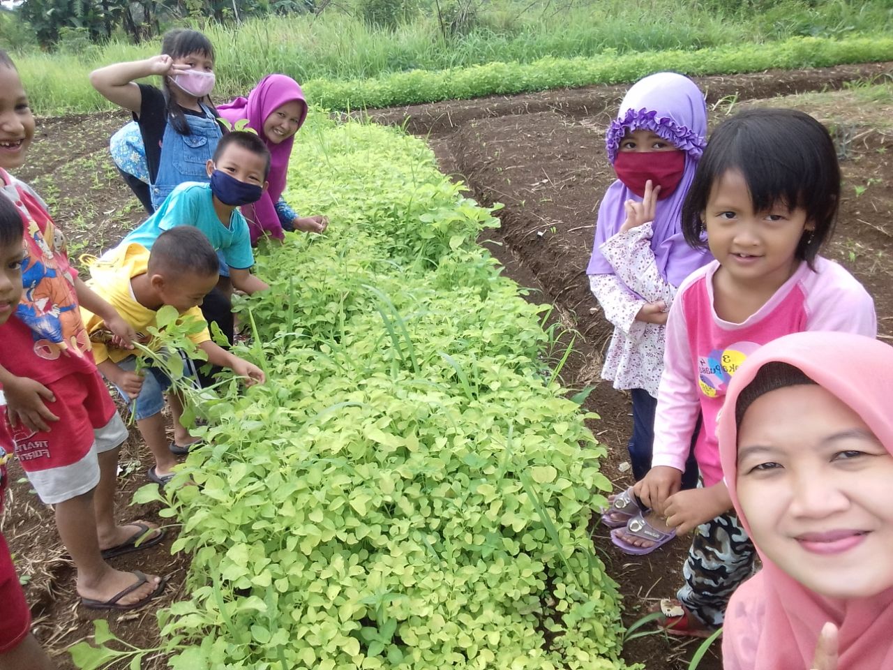 Mengenal Tanaman di Kebun Sekolah